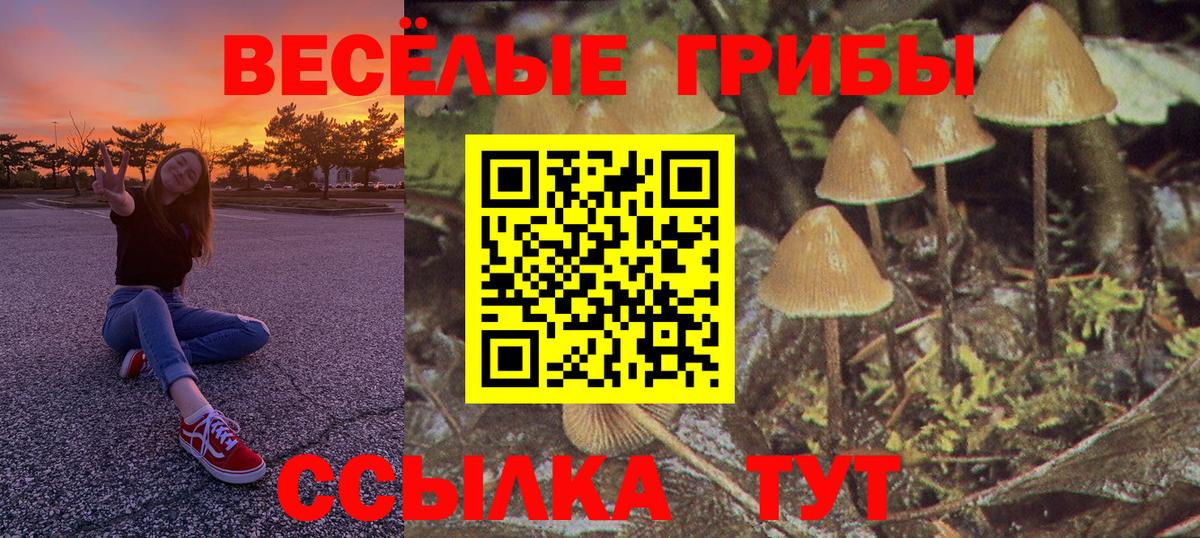 Псилоцибиновые грибы Magic Shrooms  Псилоцибиновые грибы ЛСД  Карачаевск  Вход с VPN 