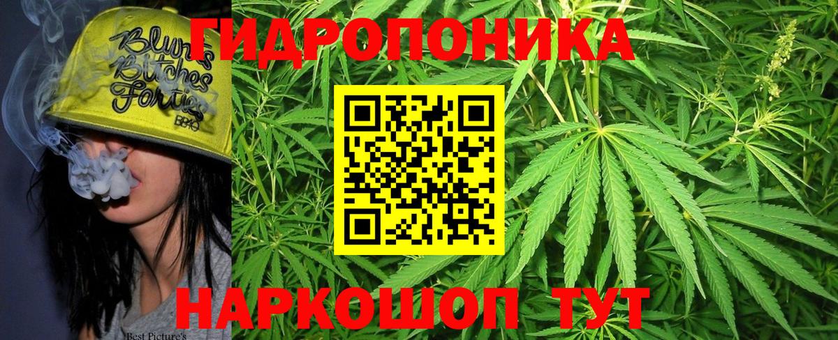Бошки марихуана ГИДРОПОН Карачаевск